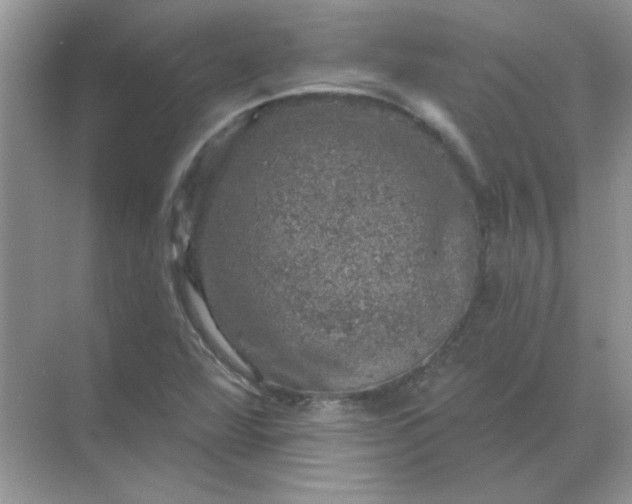 X0000068891360200605192124