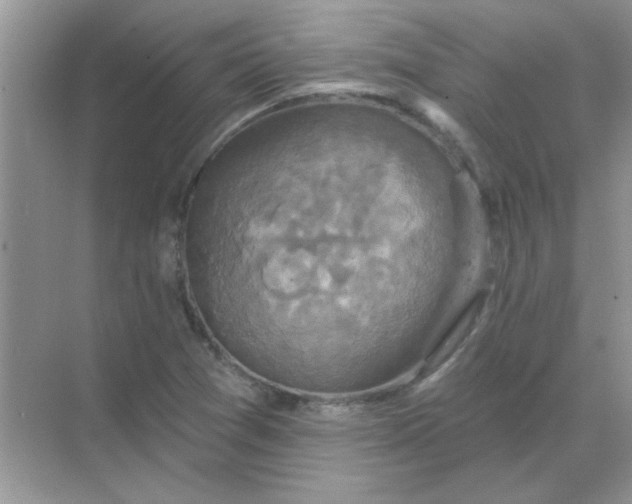 X0000068891361200605192124