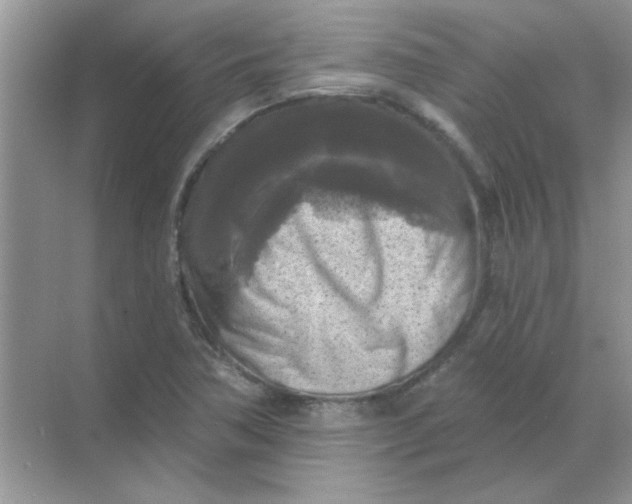 X0000068891362200605192124