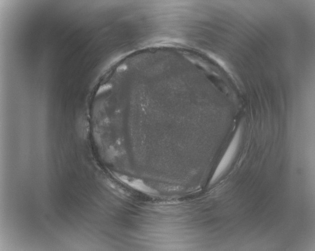 X0000068891363200605192124