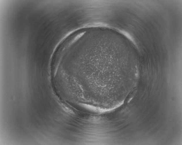 X0000068891364200605192124