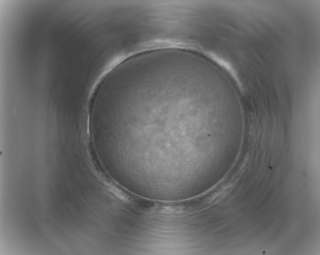 X0000068891365200605192124