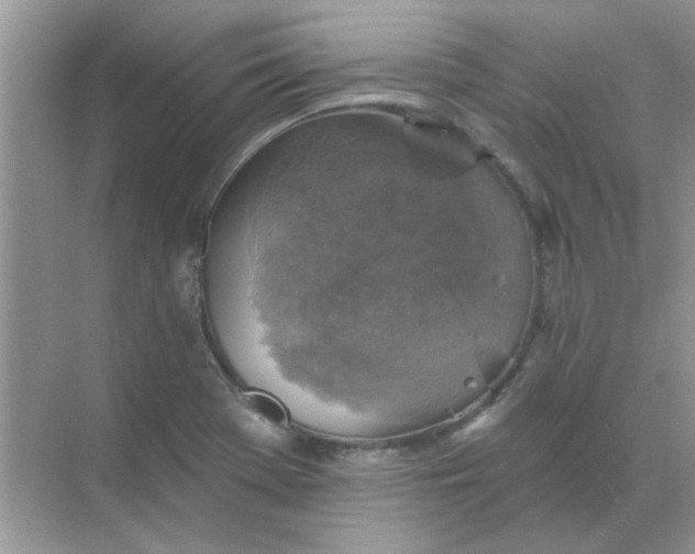 X0000068891369200605192124