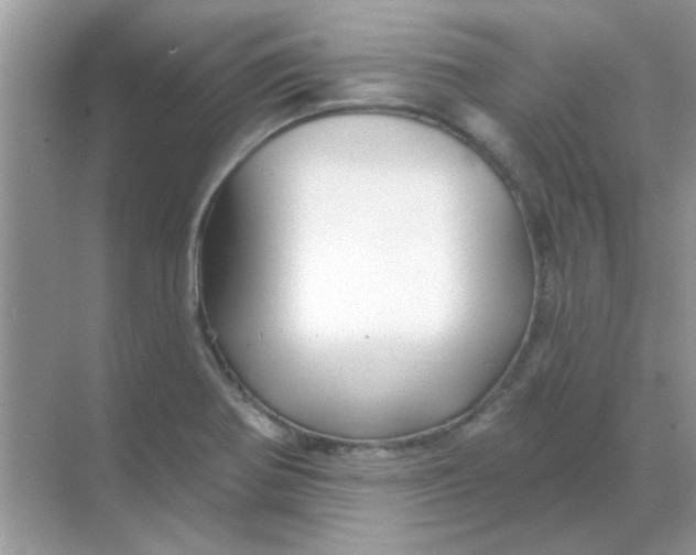 X0000068891370200605192124