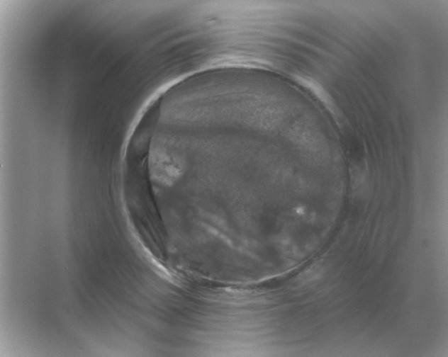 X0000068891371200605192124