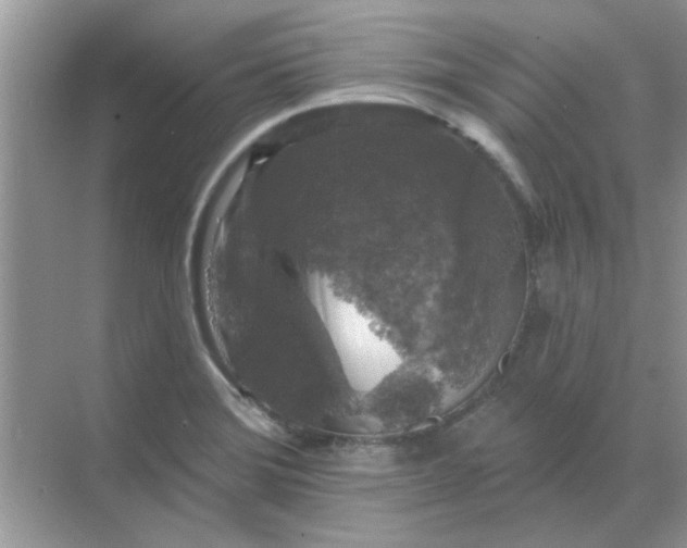 X0000068891372200605192124