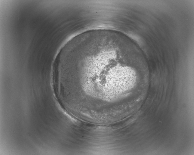 X0000068891374200605192124