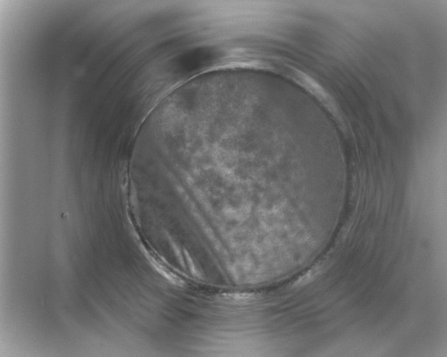 X0000068891377200605192124