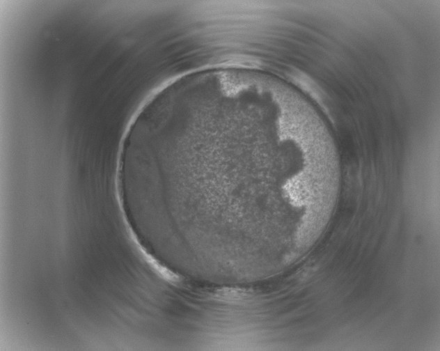 X0000068891379200605192124