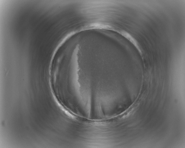 X0000068891381200605192124