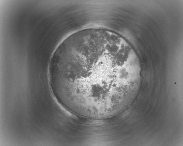 X0000068891382200605192124