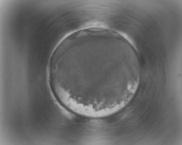 X0000068891383200605192124