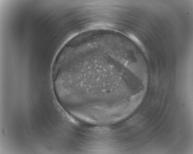 X0000068891384200605192124