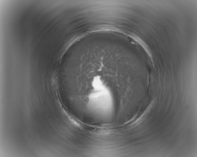 X0000068891385200605192124