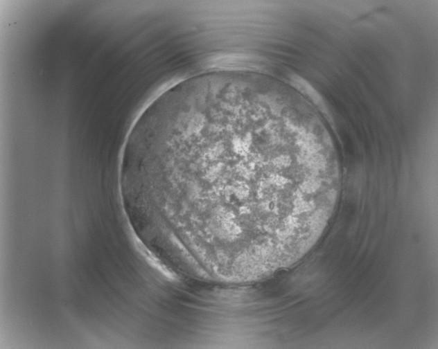 X0000068891386200605192124