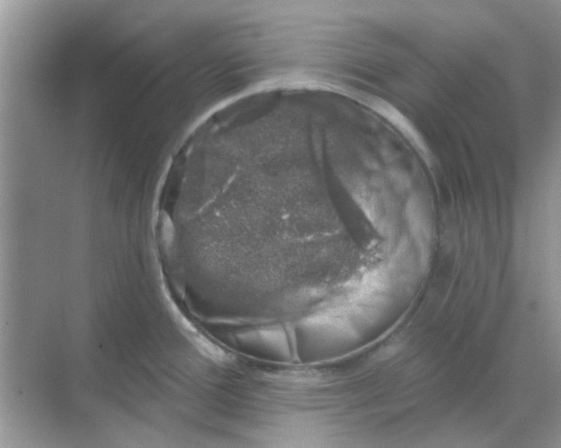 X0000068891388200605192123