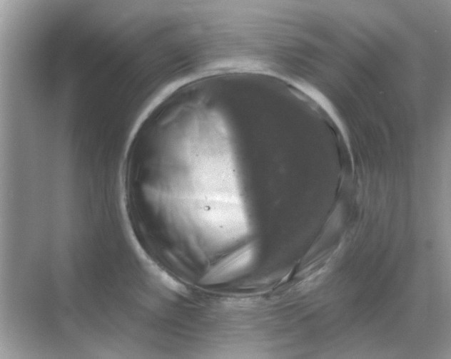 X0000068891389200605192123