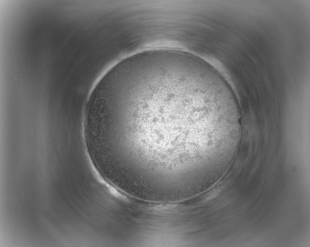 X0000068891390200605192123