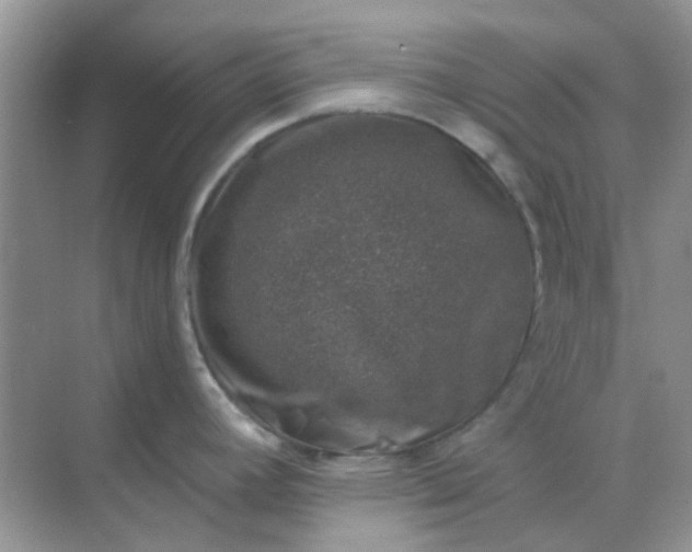 X0000068891392200605192123