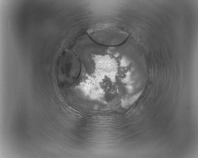 X0000068891393200605192123