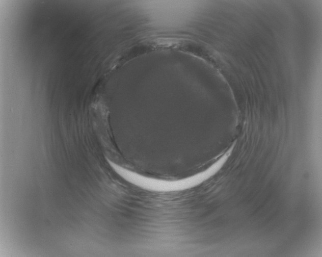 X0000068891394200605192123