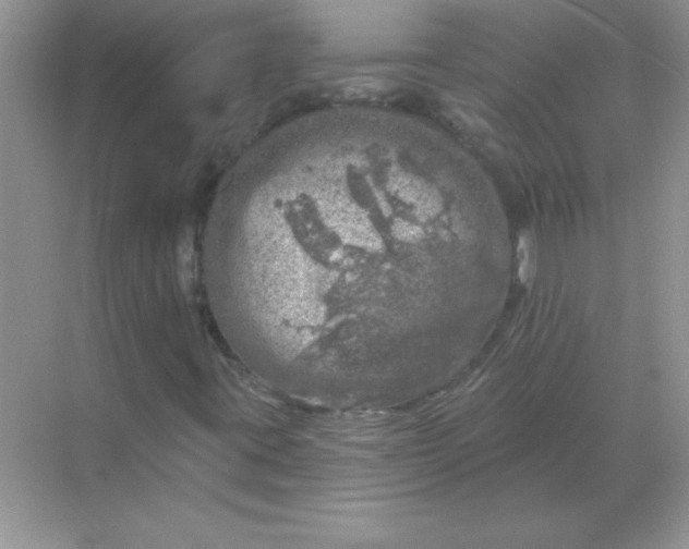 X0000068891395200605192123