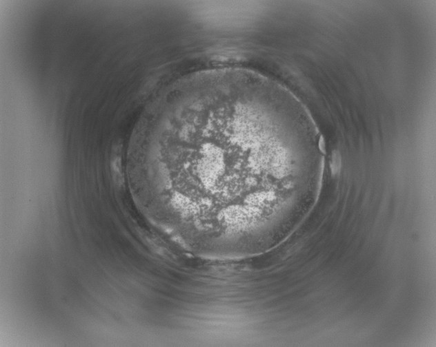 X0000068891396200605192123