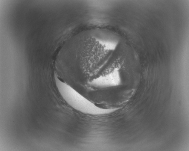 X0000068891397200605192123