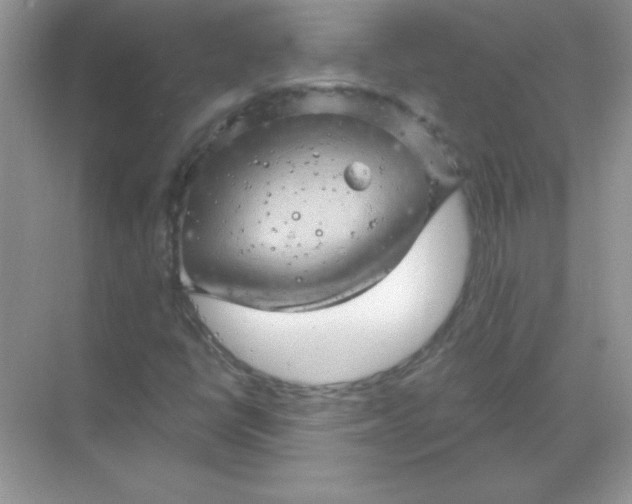 X0000068891398200605192123