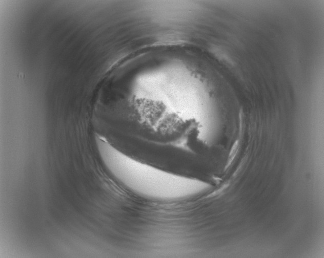 X0000068891401200605192123