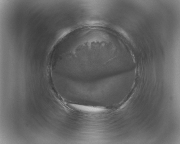 X0000068891405200605192123