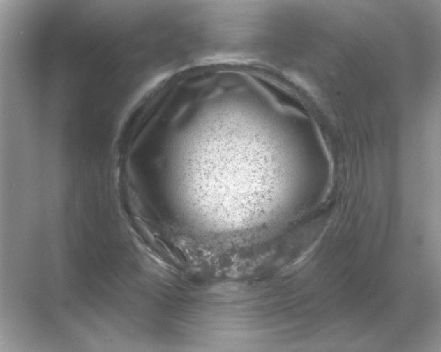 X0000068891406200605192123