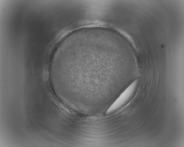 X0000068891407200605192123