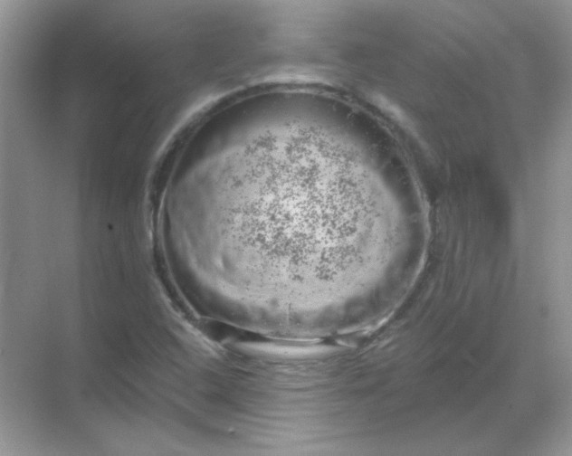 X0000068891408200605192123