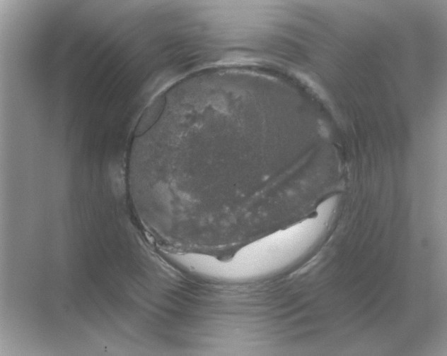 X0000068891409200605192123