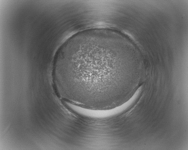 X0000068891410200605192123