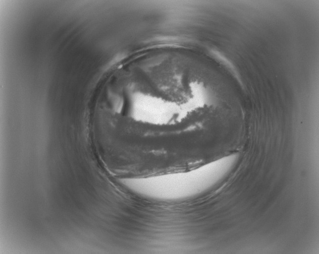 X0000068891411200605192123