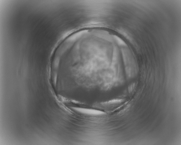 X0000068891413200605192123