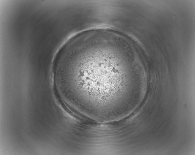 X0000068891414200605192123