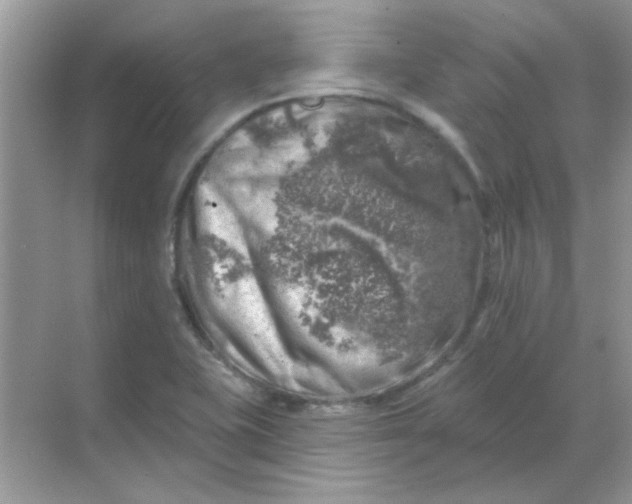 X0000068891415200605192123