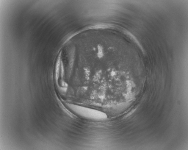 X0000068891417200605192123