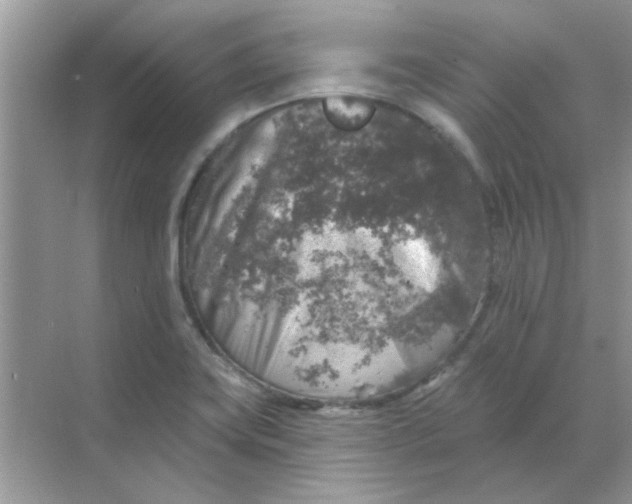 X0000068891419200605192123