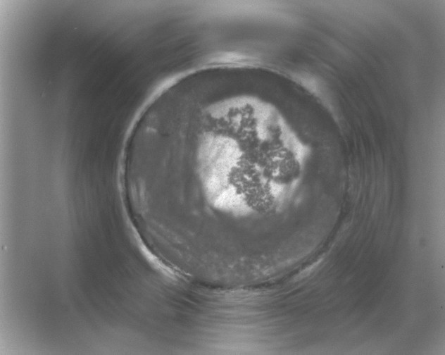 X0000068891421200605192123