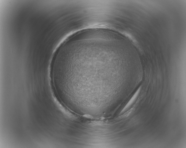 X0000068891422200605192123