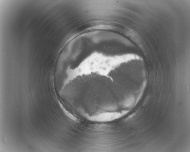 X0000068891425200605192123