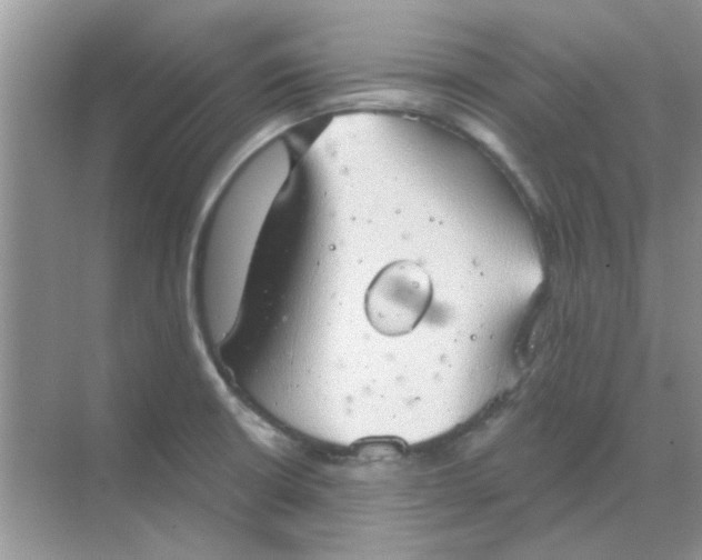 X0000068891426200605192123