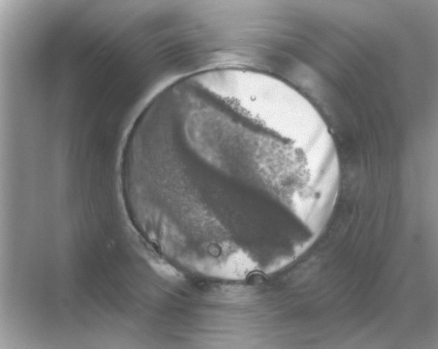 X0000068891427200605192123