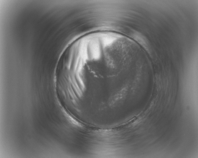 X0000068891428200605192123