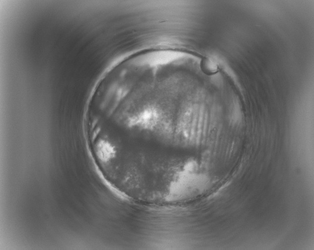 X0000068891429200605192123