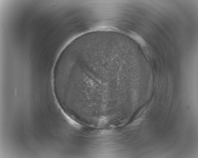 X0000068891430200605192123